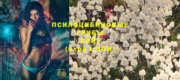 ECSTASY Зеленокумск