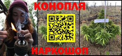 мяу мяу мука Канаш