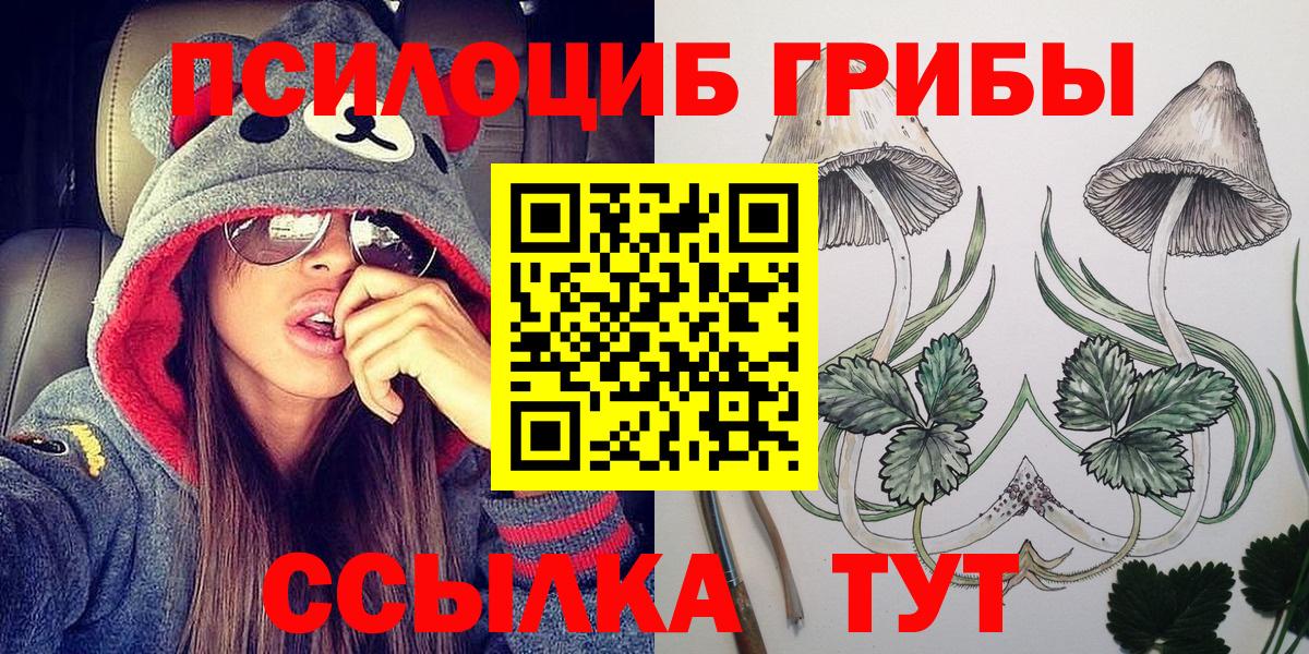Галлюциногенные грибы Cubensis  Вход с VPN  купить наркотик  Галлюциногенные грибы Magic Shrooms  Надым 